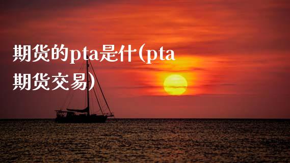 期货的pta是什(pta期货交易)_https://www.iteshow.com_黄金期货_第1张