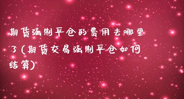 期货强制平仓的费用去哪里了(期货交易强制平仓如何结算)_https://www.iteshow.com_基金_第1张