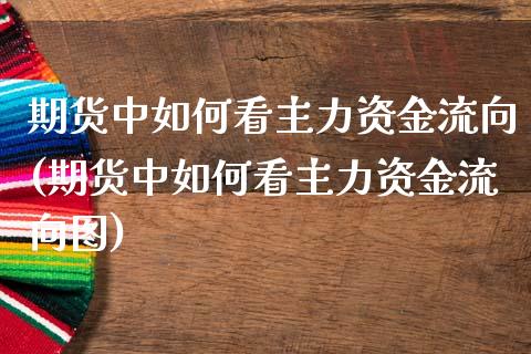 期货中如何看主力资金流向(期货中如何看主力资金流向图)_https://www.iteshow.com_基金_第1张