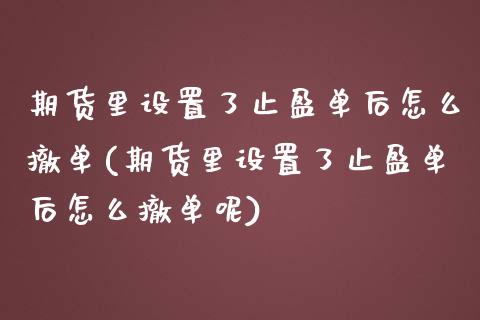 期货里设置了止盈单后怎么撤单(期货里设置了止盈单后怎么撤单呢)_https://www.iteshow.com_基金_第1张