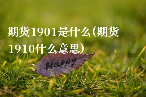 期货1901是什么(期货1910什么意思)_https://www.iteshow.com_基金_第1张