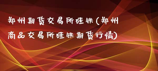 郑州期货交易所硅铁(郑州商品交易所硅铁期货行情)_https://www.iteshow.com_商品期货_第1张