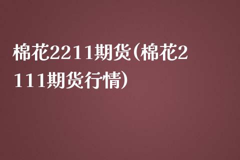 棉花2211期货(棉花2111期货行情)_https://www.iteshow.com_商品期权_第1张