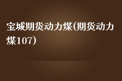 宝城期货动力煤(期货动力煤107)_https://www.iteshow.com_商品期货_第1张