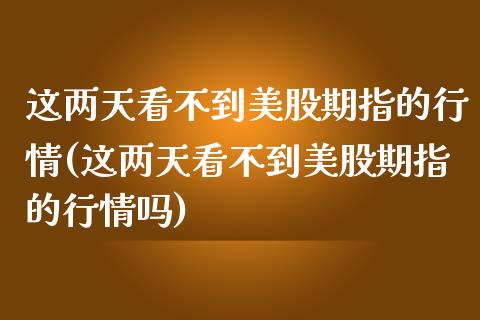 这两天看不到美股期指的行情(这两天看不到美股期指的行情吗)_https://www.iteshow.com_期货公司_第1张