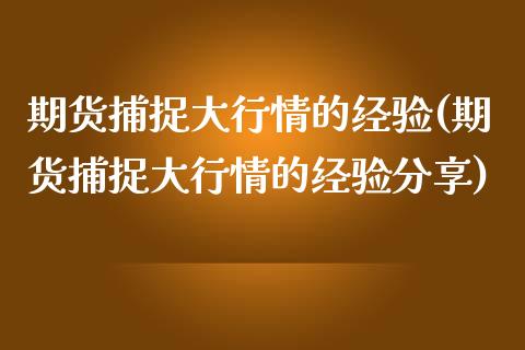 期货捕捉大行情的经验(期货捕捉大行情的经验分享)_https://www.iteshow.com_商品期货_第1张