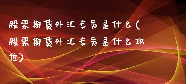 股票期货外汇专员是什么(股票期货外汇专员是什么职位)_https://www.iteshow.com_商品期货_第1张