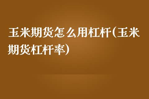 玉米期货怎么用杠杆(玉米期货杠杆率)_https://www.iteshow.com_期货知识_第1张