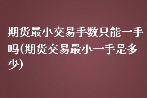 期货最小交易手数只能一手吗(期货交易最小一手是多少)_https://www.iteshow.com_期货百科_第1张