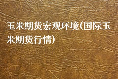 玉米期货宏观环境(国际玉米期货行情)_https://www.iteshow.com_期货知识_第1张