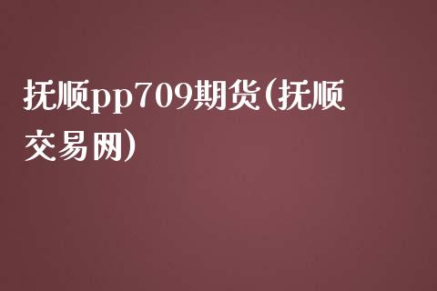 抚顺pp709期货(抚顺交易网)_https://www.iteshow.com_期货手续费_第1张