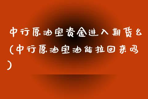 中行原油宝资金进入期货么(中行原油宝油能拉回来吗)_https://www.iteshow.com_期货手续费_第1张