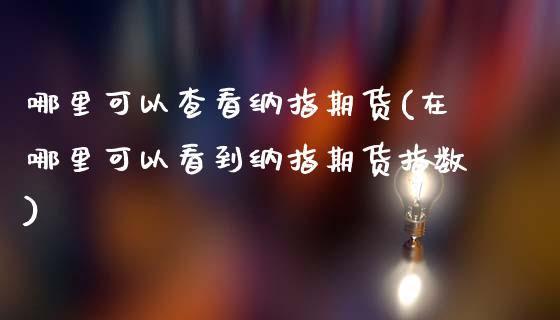 哪里可以查看纳指期货(在哪里可以看到纳指期货指数)_https://www.iteshow.com_期货手续费_第1张