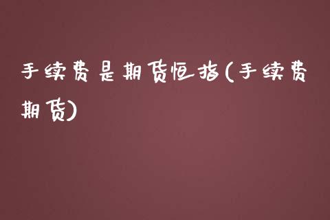 手续费是期货恒指(手续费期货)_https://www.iteshow.com_期货交易_第1张