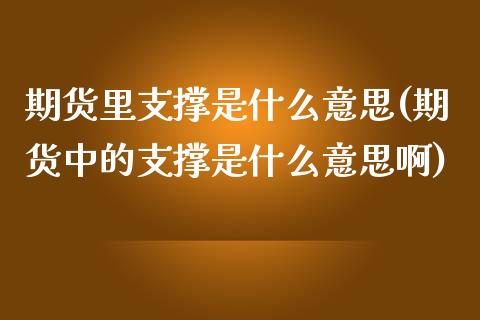 期货里支撑是什么意思(期货中的支撑是什么意思啊)_https://www.iteshow.com_商品期货_第1张