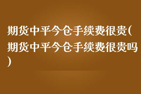 期货中平今仓手续费很贵(期货中平今仓手续费很贵吗)_https://www.iteshow.com_期货知识_第1张