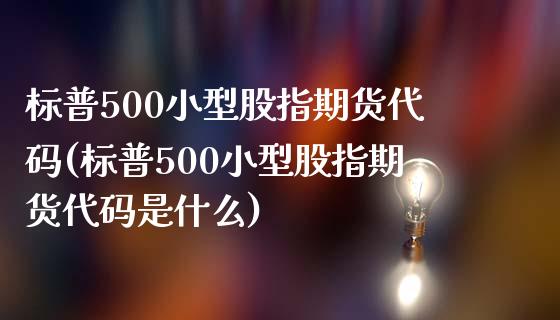 标普500小型股指期货代码(标普500小型股指期货代码是什么)_https://www.iteshow.com_商品期货_第1张