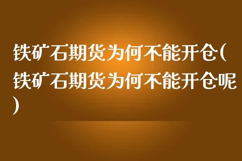 铁矿石期货为何不能开仓(铁矿石期货为何不能开仓呢)_https://www.iteshow.com_期货百科_第1张