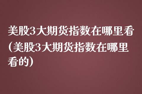 美股3大期货指数在哪里看(美股3大期货指数在哪里看的)_https://www.iteshow.com_黄金期货_第1张