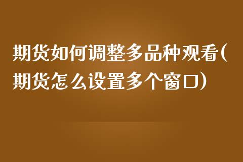 期货如何调整多品种观看(期货怎么设置多个窗口)_https://www.iteshow.com_商品期货_第1张