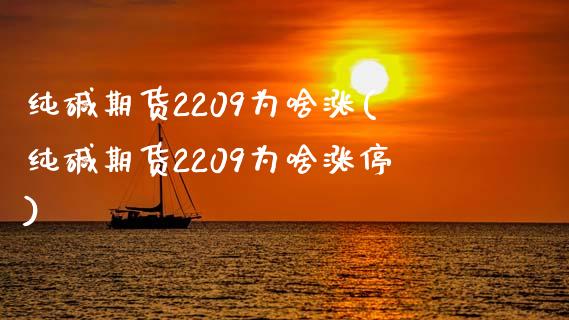 纯碱期货2209为啥涨(纯碱期货2209为啥涨停)_https://www.iteshow.com_股票_第1张