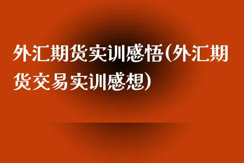 外汇期货实训感悟(外汇期货交易实训感想)_https://www.iteshow.com_黄金期货_第1张