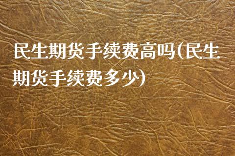 民生期货手续费高吗(民生期货手续费多少)_https://www.iteshow.com_期货品种_第1张