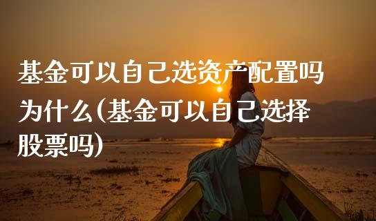 基金可以自己选资产配置吗为什么(基金可以自己选择股票吗)_https://www.iteshow.com_期货百科_第1张