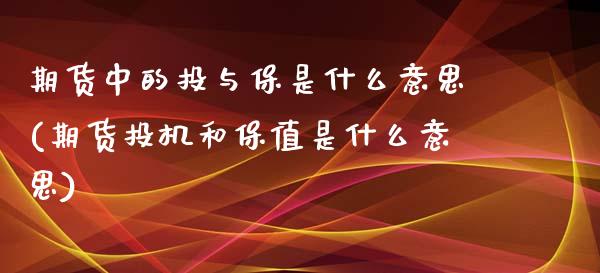 期货中的投与保是什么意思(期货投机和保值是什么意思)_https://www.iteshow.com_期货开户_第1张