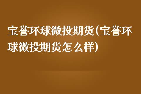 宝誉环球微投期货(宝誉环球微投期货怎么样)_https://www.iteshow.com_期货手续费_第1张