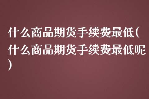 什么商品期货手续费最低(什么商品期货手续费最低呢)_https://www.iteshow.com_期货手续费_第1张