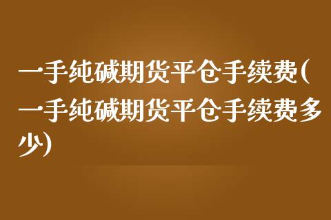 一手纯碱期货平仓手续费(一手纯碱期货平仓手续费多少)_https://www.iteshow.com_黄金期货_第1张