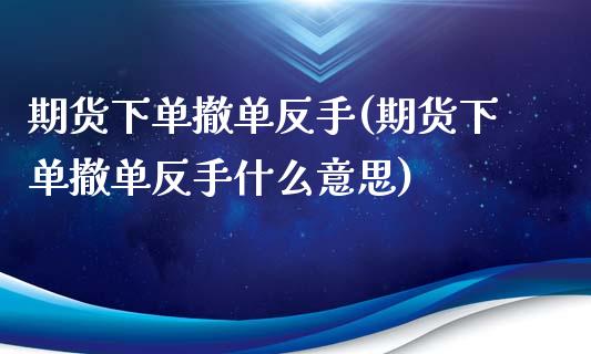 期货下单撤单反手(期货下单撤单反手什么意思)_https://www.iteshow.com_基金_第1张