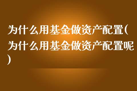 为什么用基金做资产配置(为什么用基金做资产配置呢)_https://www.iteshow.com_股票_第1张