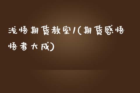 浅悟期货教室1(期货感悟悟者大成)_https://www.iteshow.com_股指期权_第1张