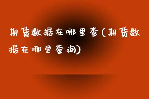 期货数据在哪里查(期货数据在哪里查询)_https://www.iteshow.com_期货知识_第1张