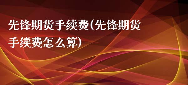 先锋期货手续费(先锋期货手续费怎么算)_https://www.iteshow.com_期货手续费_第1张