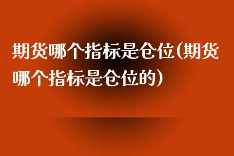 期货哪个指标是仓位(期货哪个指标是仓位的)_https://www.iteshow.com_黄金期货_第1张