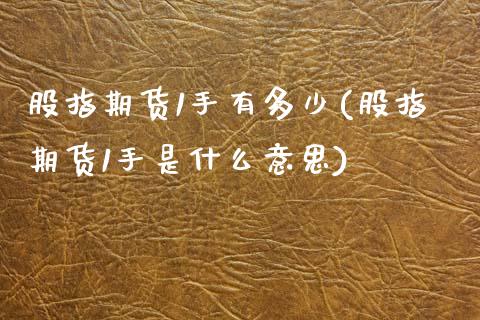 股指期货1手有多少(股指期货1手是什么意思)_https://www.iteshow.com_基金_第1张