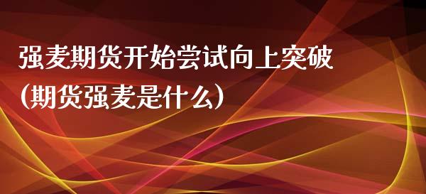 强麦期货开始尝试向上突破(期货强麦是什么)_https://www.iteshow.com_期货百科_第1张