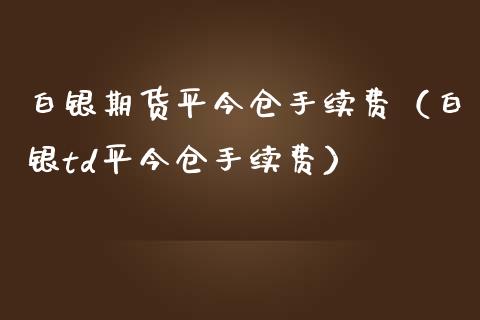 白银期货平今仓手续费（白银td平今仓手续费）_https://www.iteshow.com_期货百科_第1张