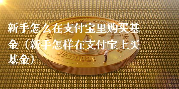 新手怎么在支付宝里购买基金（新手怎样在支付宝上买基金）_https://www.iteshow.com_基金_第1张