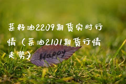 菜籽油2209期货实时行情（菜油2101期货行情走势）_https://www.iteshow.com_原油期货_第1张