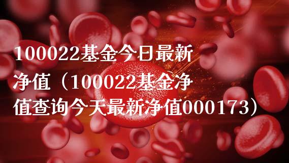 100022基金今日最新净值（100022基金净值查询今天最新净值000173）_https://www.iteshow.com_基金_第1张