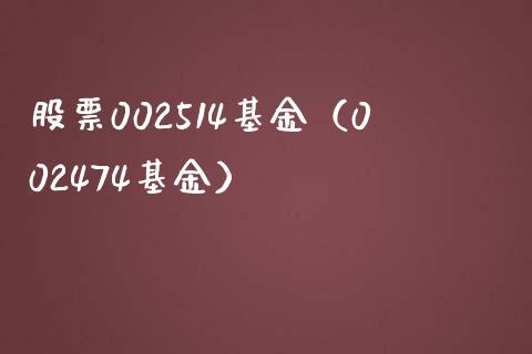 股票002514基金（002474基金）_https://www.iteshow.com_基金_第1张