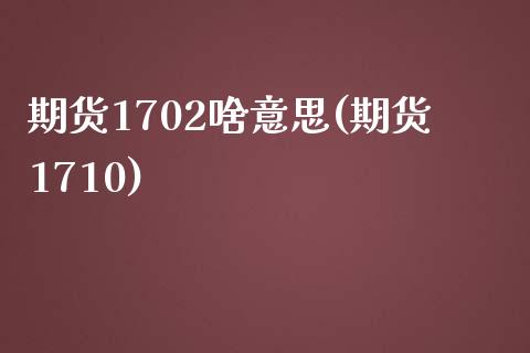 期货1702啥意思(期货1710)_https://www.iteshow.com_基金_第1张