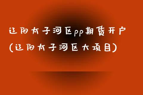 辽阳太子河区pp期货开户(辽阳太子河区大项目)_https://www.iteshow.com_股指期货_第1张