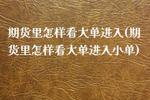 期货里怎样看大单进入(期货里怎样看大单进入小单)_https://www.iteshow.com_股票_第1张