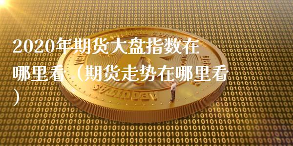 2020年期货大盘指数在哪里看（期货走势在哪里看）_https://www.iteshow.com_期货开户_第1张