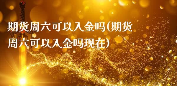 期货周六可以入金吗(期货周六可以入金吗现在)_https://www.iteshow.com_原油期货_第1张